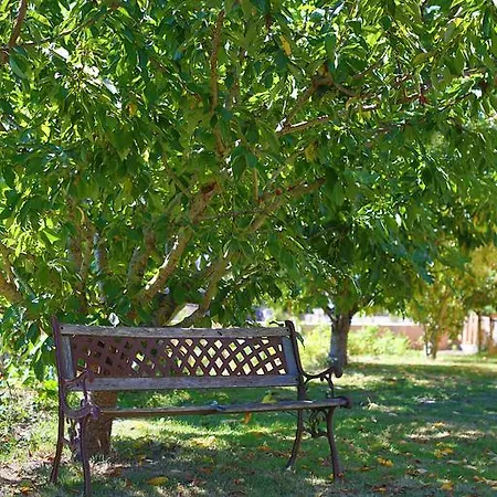 アパート Olekate *