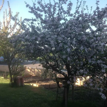 アパート Olekate レ・サ​​ーブル・ドロンヌ