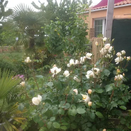 Olekate アパート *