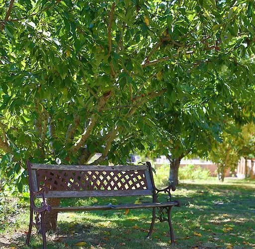 Apartamento Olékaté *