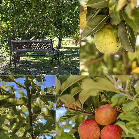 Olekate * Ле-Сабль-д’Олон