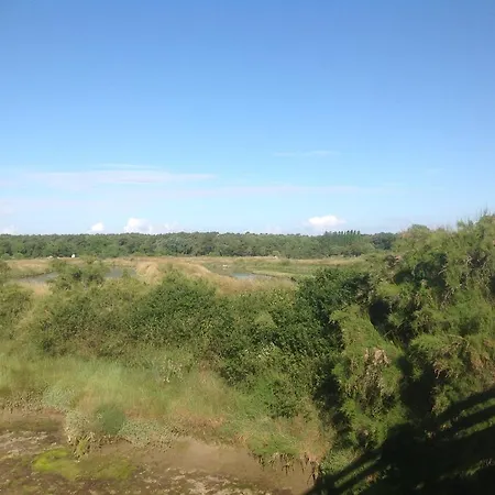Olekate