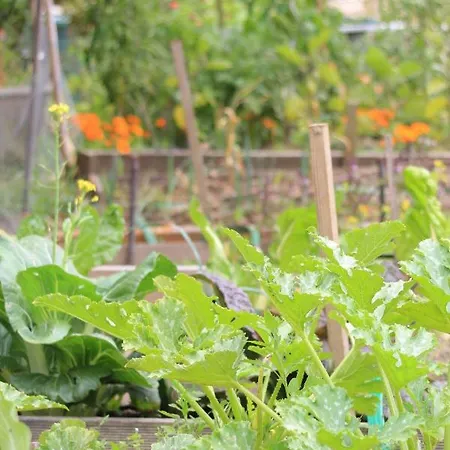 Olekate Апартаменты Ле-Сабль-д’Олон