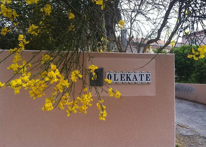Olékaté