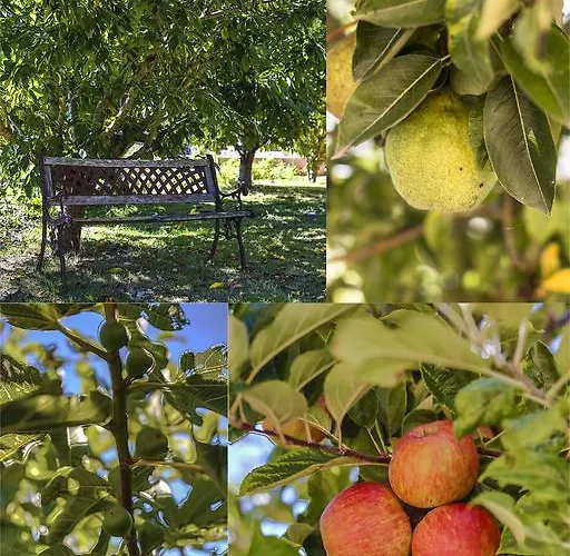 Olékaté * Les Sables-dʼOlonne