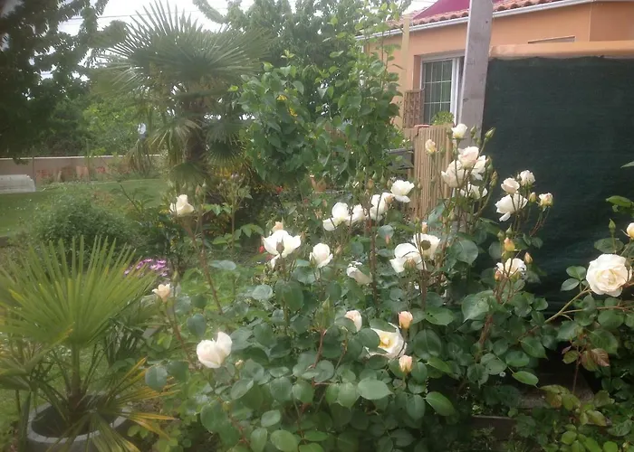 Olékaté Appartamento *