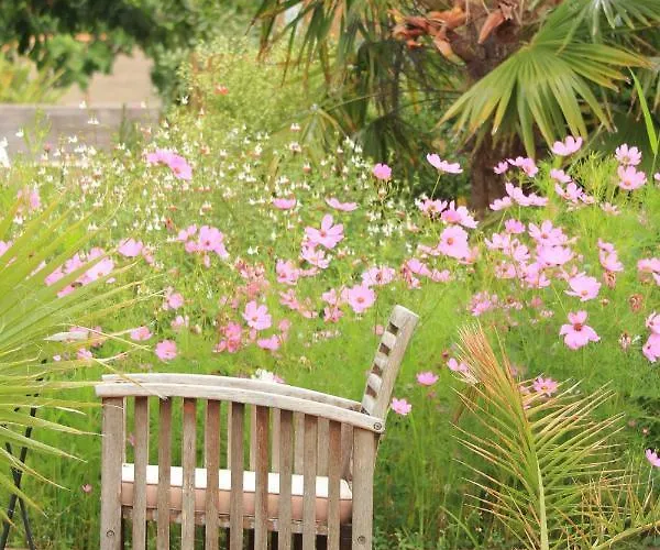 奥勒卡特公寓 公寓