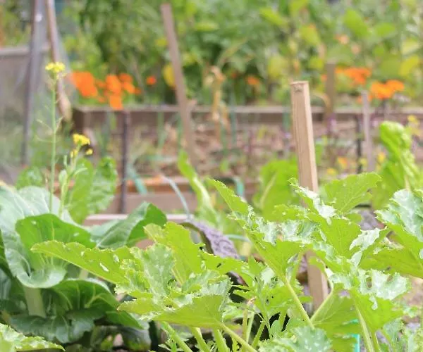 Olékaté Appartamento Les Sables-dʼOlonne
